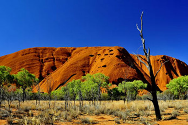 Team Building Alice Springs and Uluru photo